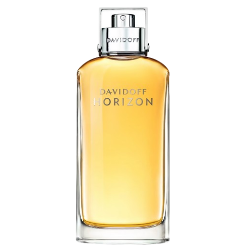 Davidoff Horizon Eau De Toilette Spray 125ml