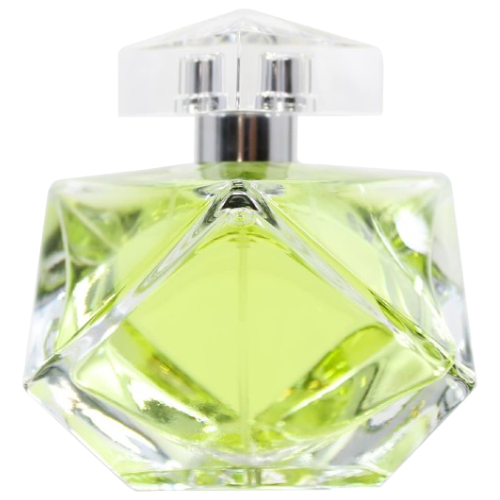Britney Spears Believe Eau De Parfum Spray 100ml