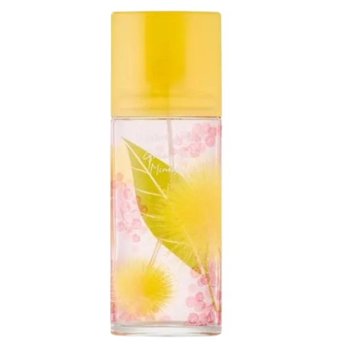 Elizabeth Arden Green Tea Mimosa Eau De Toilette Spray 50ml